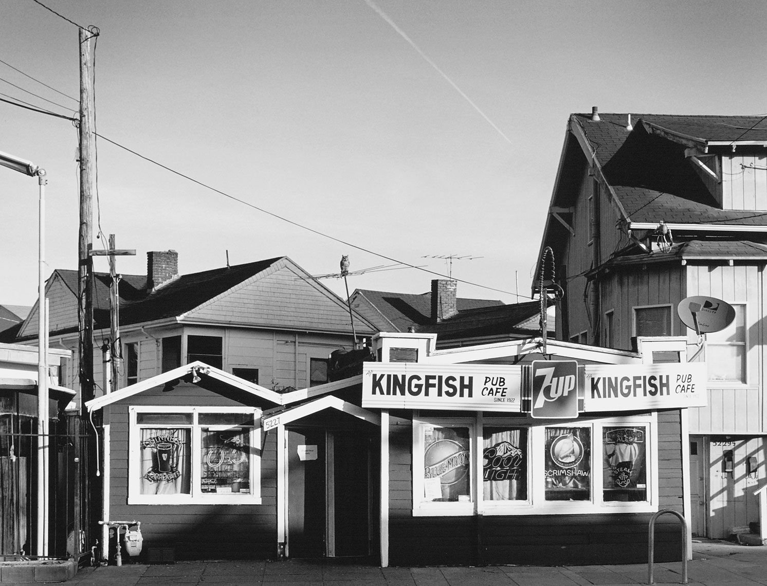 Kingfish